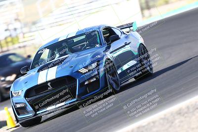 media/Oct-01-2023-VIP Trackdays (Sun) [[8c13cf1485]]/A Group/session 1 turn 4b/